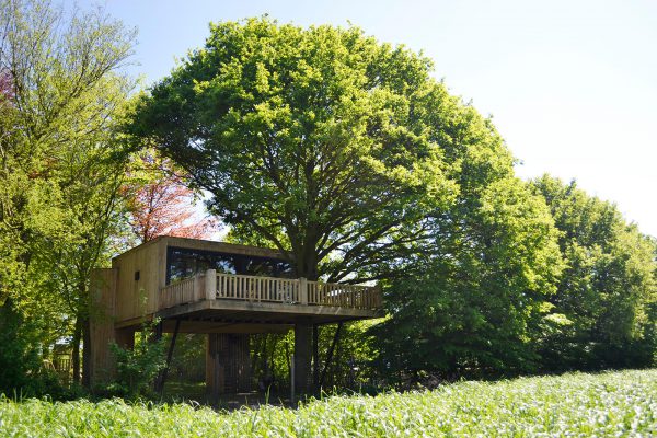 Boomsuite De boomsuite van een afstand