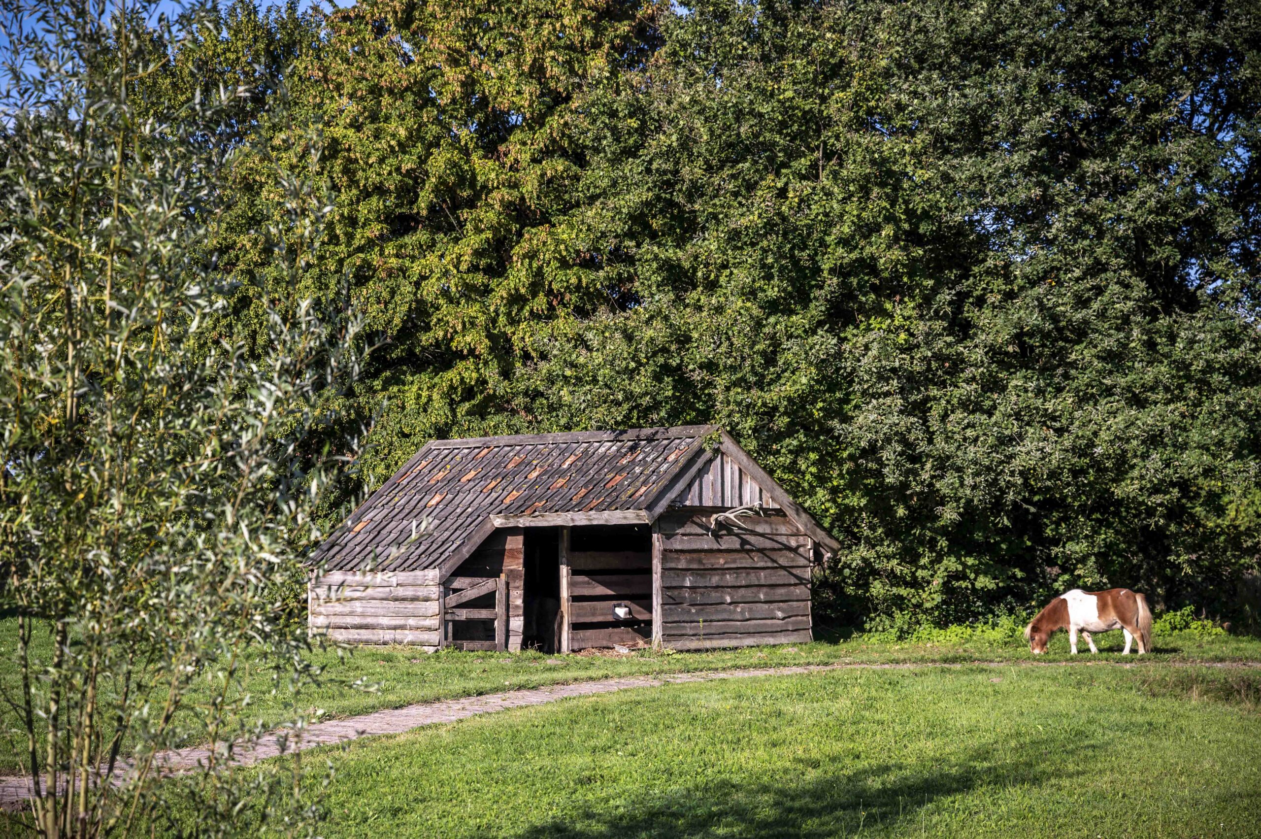 Life is Good in het Brabants Dagblad