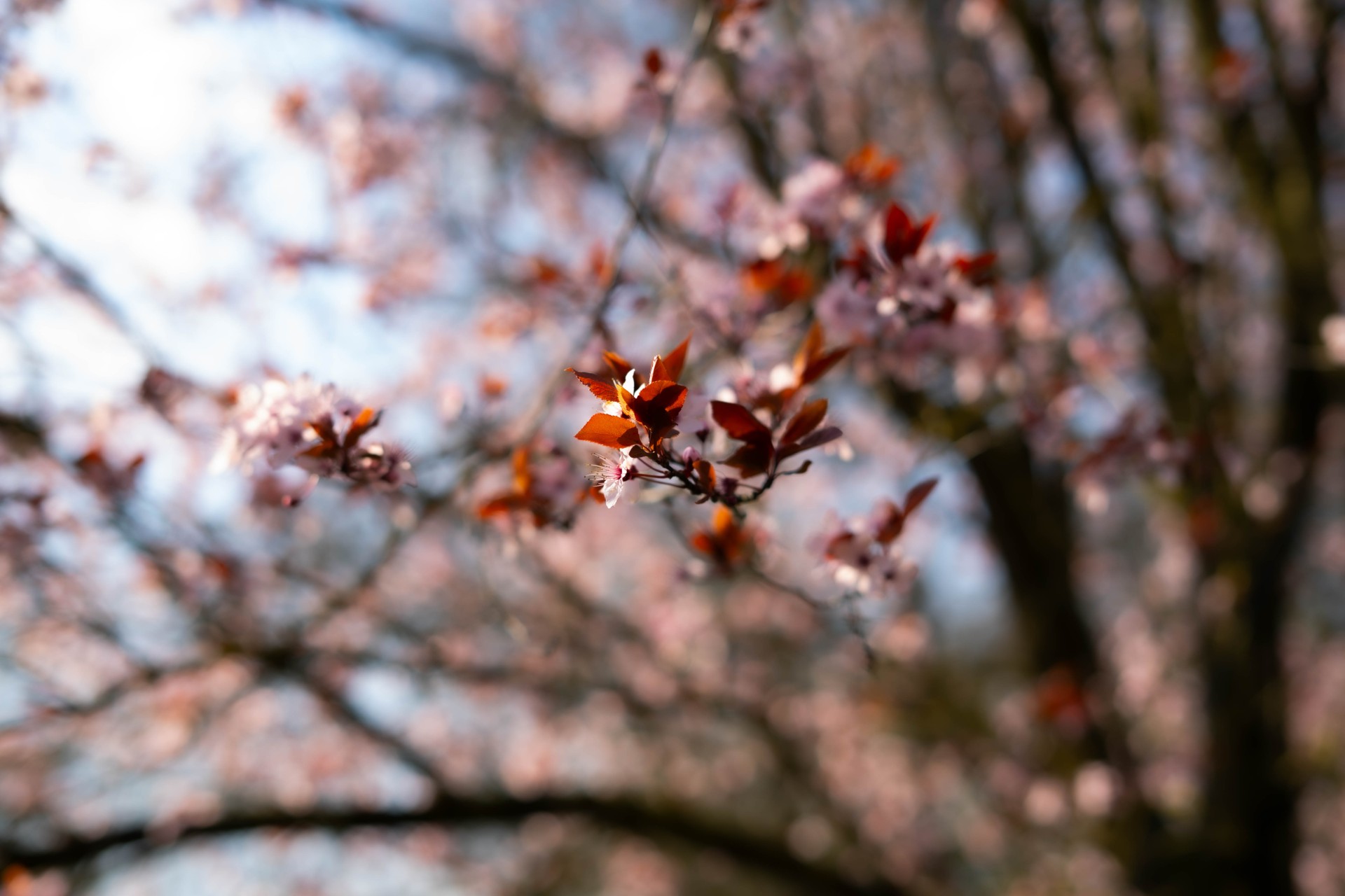 Lentekriebels op het landgoed: klaar voor een nieuw seizoen